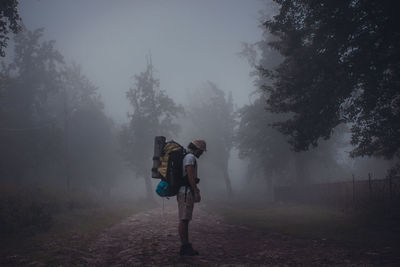 Rear view of people standing in forest