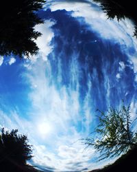 Low angle view of silhouette trees against blue sky