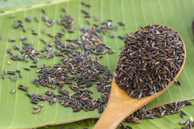 Close-up of rice on green leaves