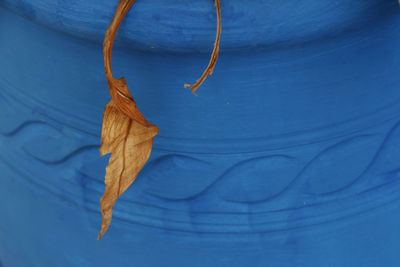 Leaf against vivid blue pot 