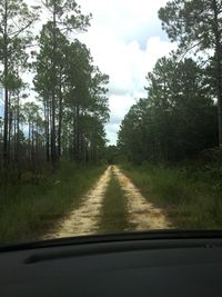 Road amidst trees against sky seen through car windshield