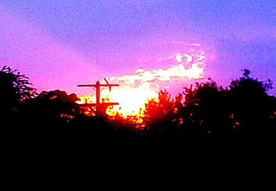 Silhouette of trees at sunset