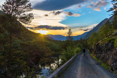 Road amidst trees against sky during sunset