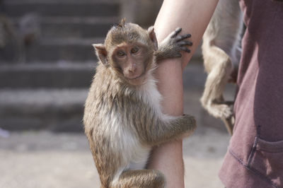 Close-up of man holding hands