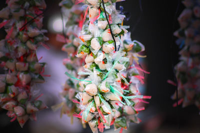 High angle view of flowering plant