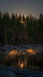 Scenic view of lake in forest against sky