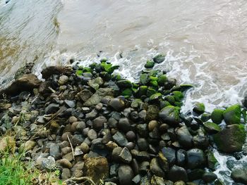 Rocks in sea