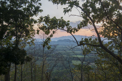 Scenic view of trees and mountains against sky