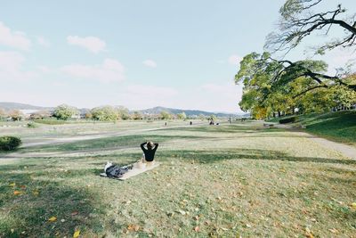 High angle view of dog on field