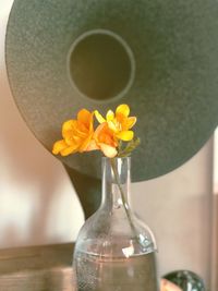 Close-up of flower vase on table