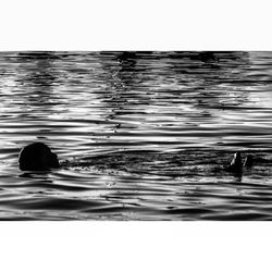 Reflection of trees in water