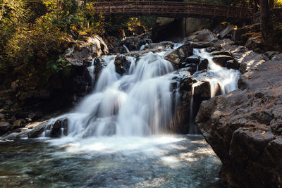 Scenic view of waterfall in forest