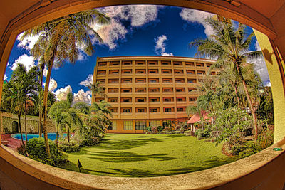 View of palm trees