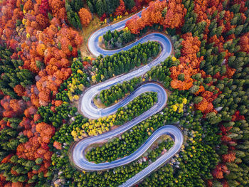 High angle view of road amidst plants during autumn