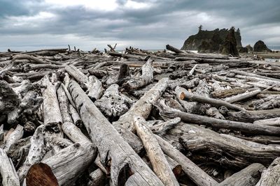 Stack of logs on rock against sky