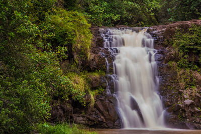 Waimea falls