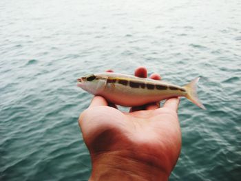 Close-up of hand holding fish against the lake