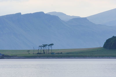 Dramatic scottish coastal cliffs, part of a telephoto landscape behind an unusual bunch of trees