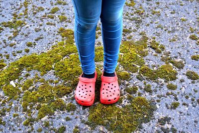 Low section of woman wearing clogs on field