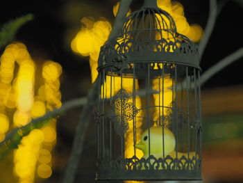 Close-up of yellow light hanging