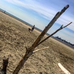 Man on beach against sky