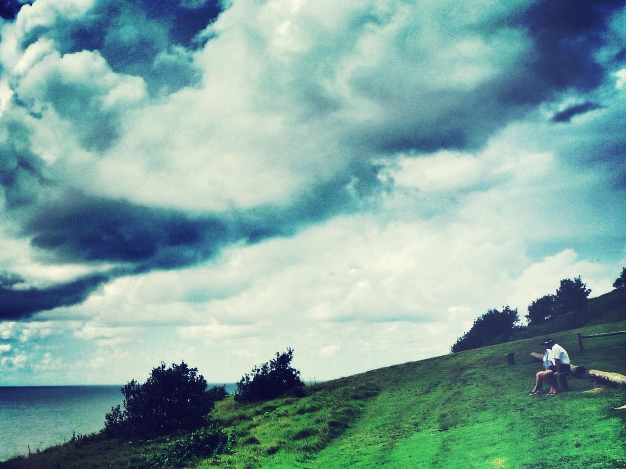 sky, cloud - sky, tranquil scene, tranquility, scenics, sea, beauty in nature, grass, water, nature, cloud, cloudy, landscape, tree, horizon over water, leisure activity, lifestyles, idyllic, green color