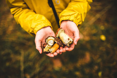 High angle view of man holding mushrooms