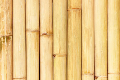 Full frame shot of bamboo