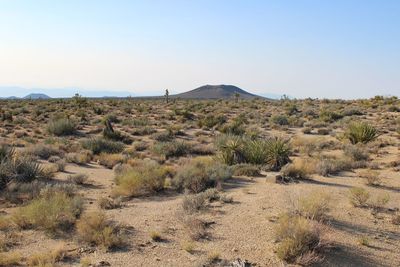 Scenic view of landscape against clear sky