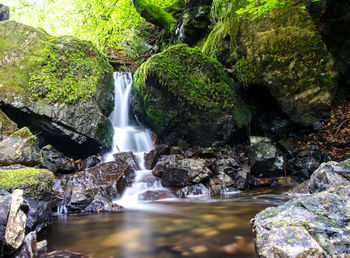 Scenic view of waterfall in forest