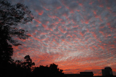 Silhouette of trees against cloudy sky