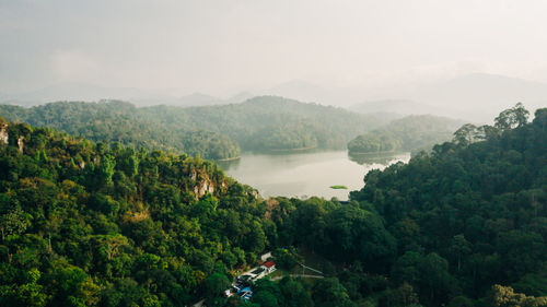 Scenic view of river in forest against sky