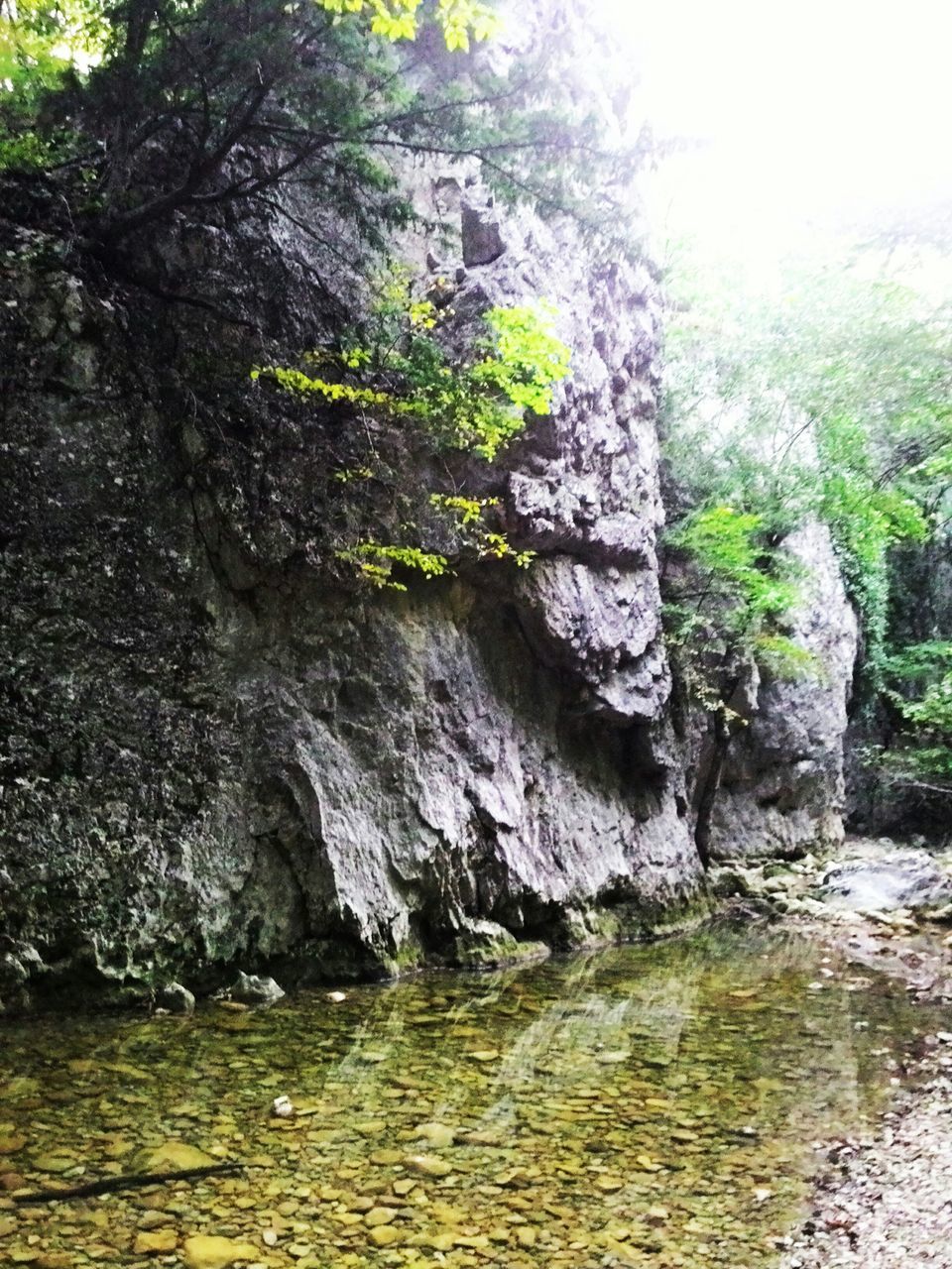 water, tree, rock - object, beauty in nature, nature, tranquility, tranquil scene, scenics, growth, waterfront, rock formation, river, forest, rock, day, stream, idyllic, reflection, outdoors, lake