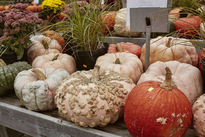 Colorful pumpkins and squash on a wooden table at a farmers market in fall. woodstock, vermont.