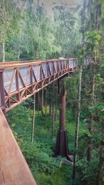 View of bridge in forest