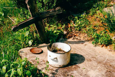 Coffee cup on table by trees in forest