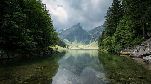 Scenic view of lake by trees against sky