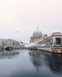 Seagull flying over river by berlin cathedral against sky during winter