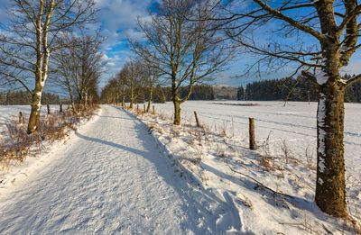 Snow covered land and bare trees against sky during winter