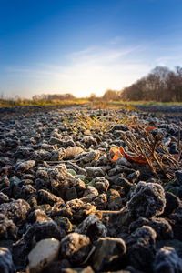 Surface level of rocks on field against sky during sunset