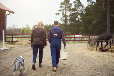 Rear view of mature couple walking in farm