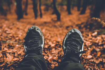 Low section of person wearing autumn leaves on land