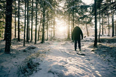 Rear view of man walking in snow covered forest