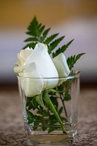 Close-up of food in glass on table