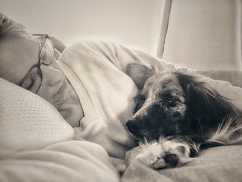 Close-up of dog sleeping on bed at home