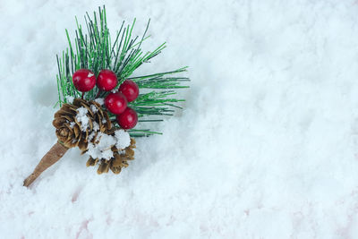 Close-up of christmas decorations on snow