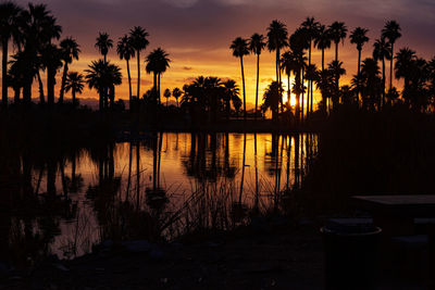 Silhouette palm trees at sunset