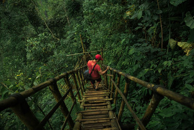 Rear view of mid adult man moving down on ladder in forest