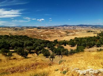 Scenic view of landscape against blue sky