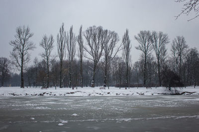 Bare trees on snow covered landscape against sky
